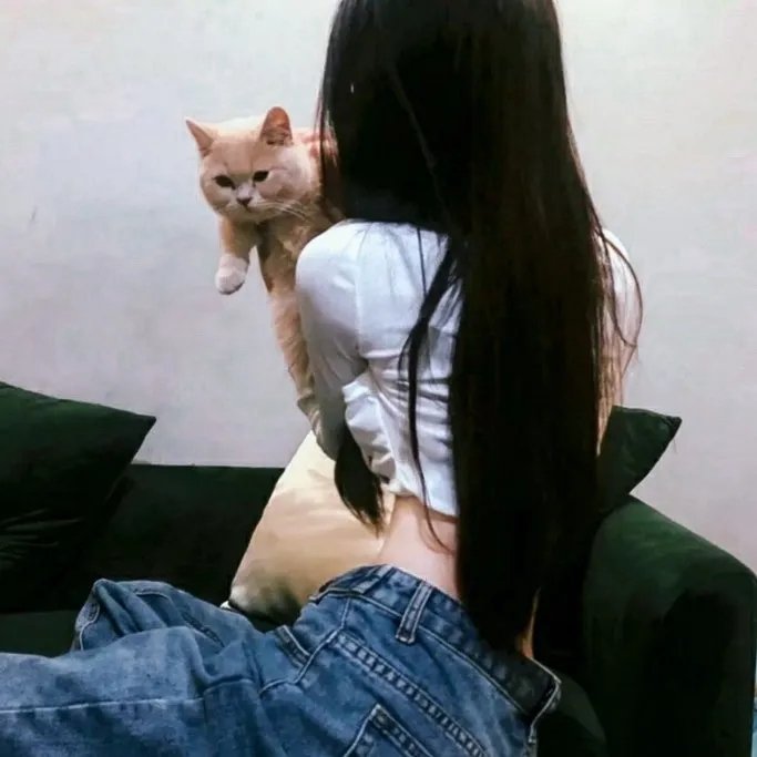 坚墙