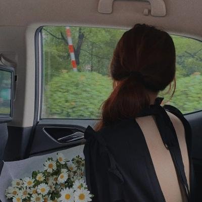 画布情缘