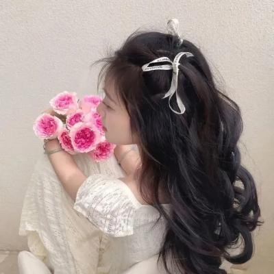多龙芝
